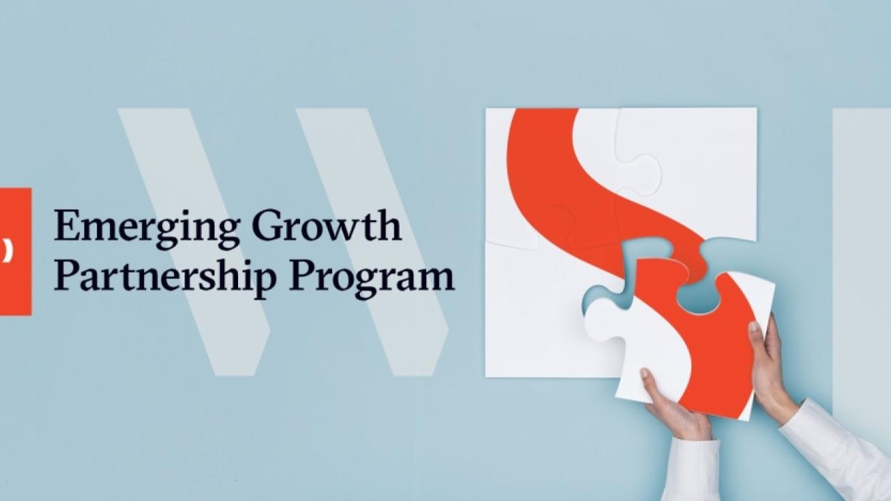 WSP Emerging Growth Partnership program