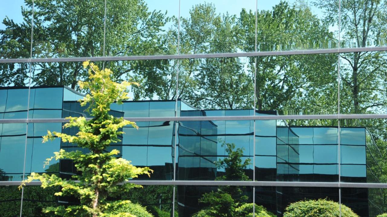Reflection of a building and trees