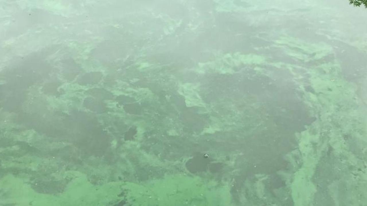 Contaminated Water