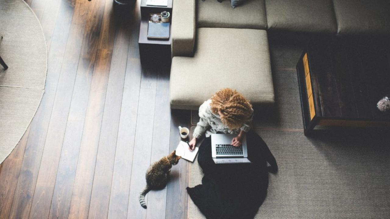 Person working from home with their cat