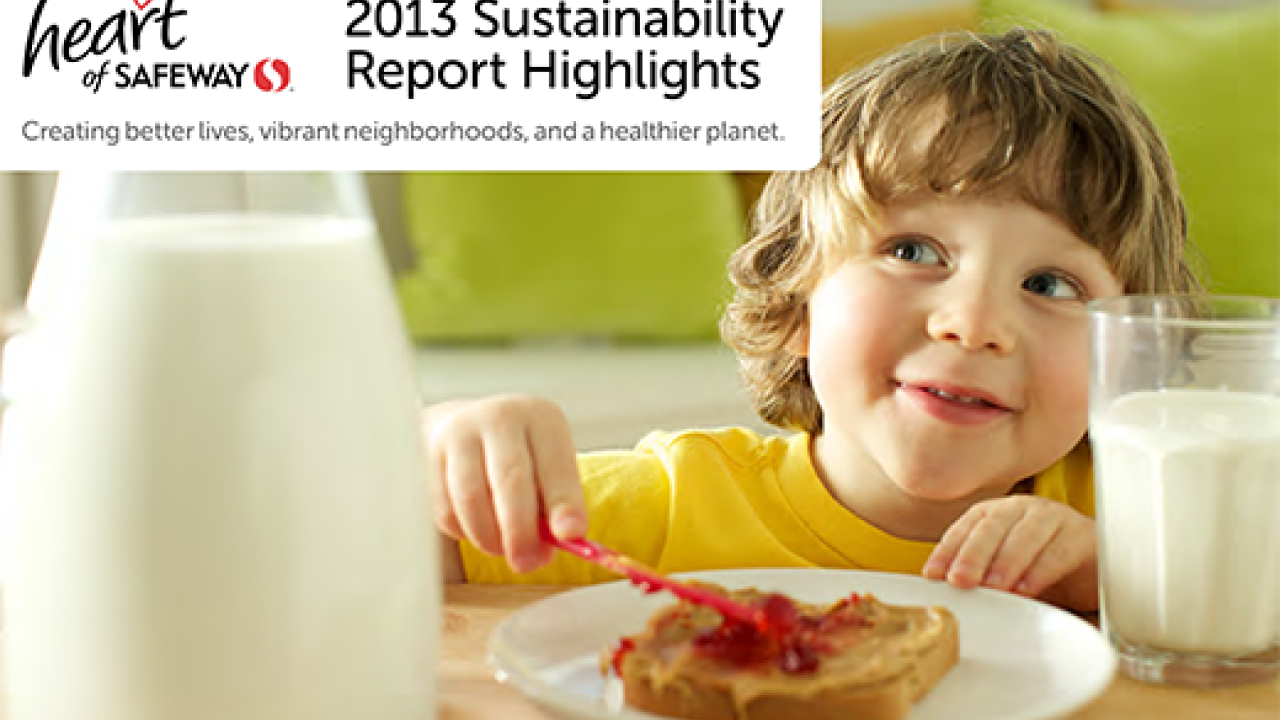 2013 Sustainability Report Highlights