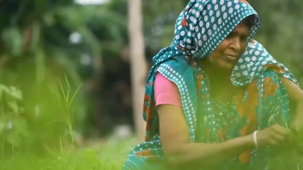 Woman in traditional South Asian clothing working in a field