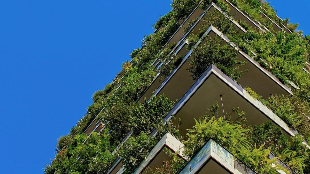 Building with Plants all over the outside