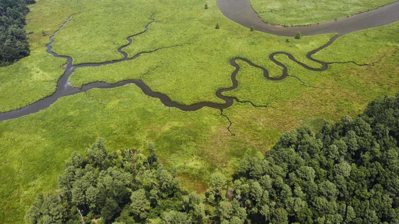 Aerial view of a winding river in a lush green area.