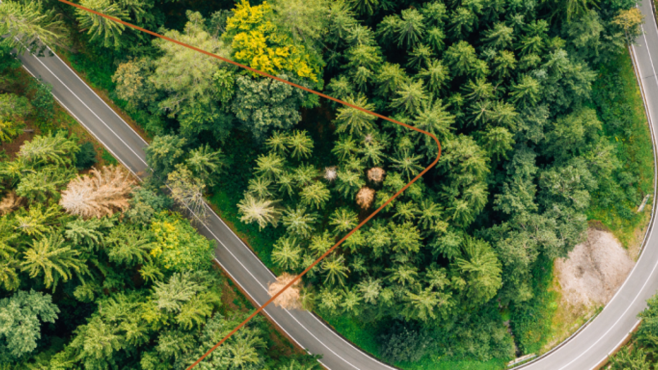 aerial view of a winding road through a forest
