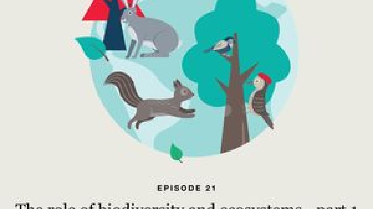"The role of biodiversity and ecosystems - part 1" with image of forest