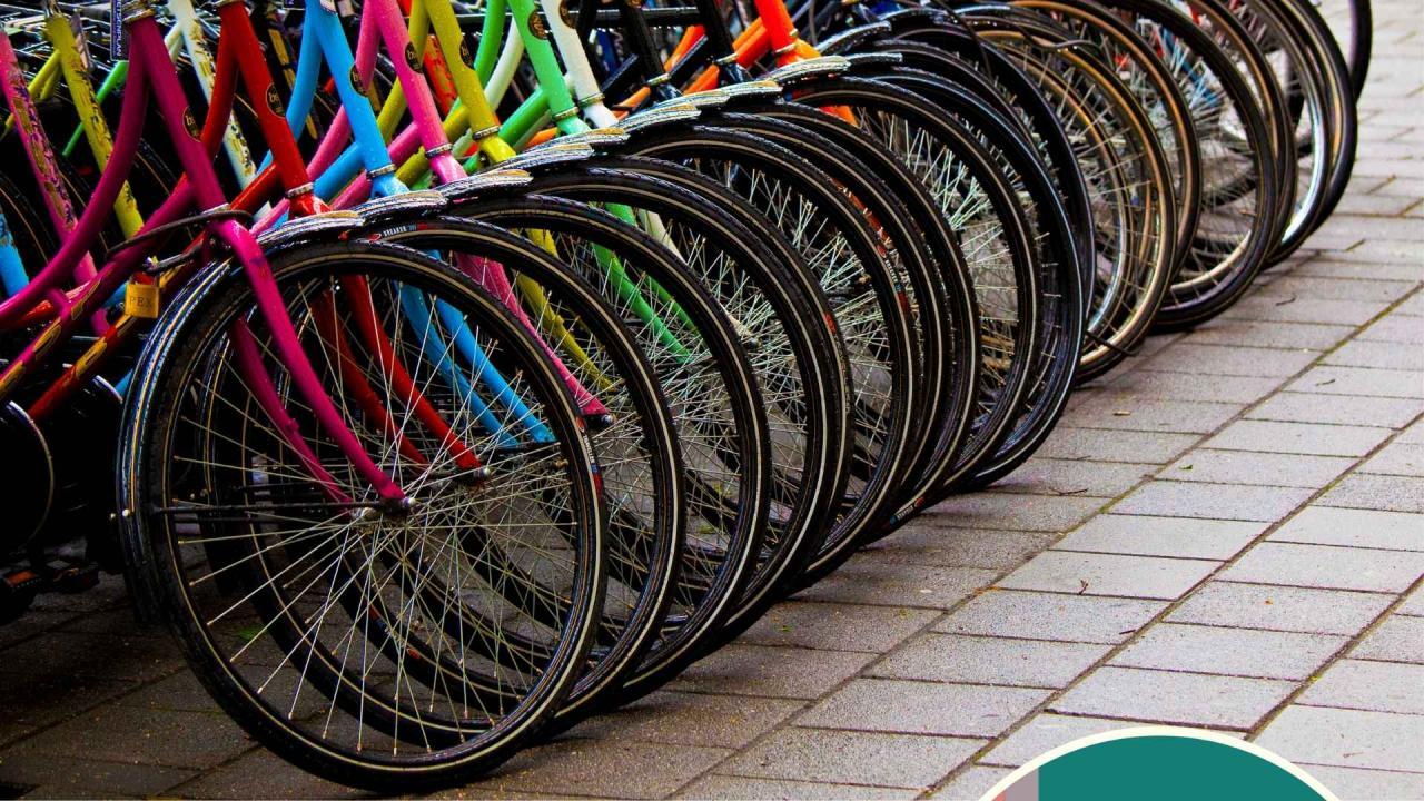 A row of bicycles parked at the street