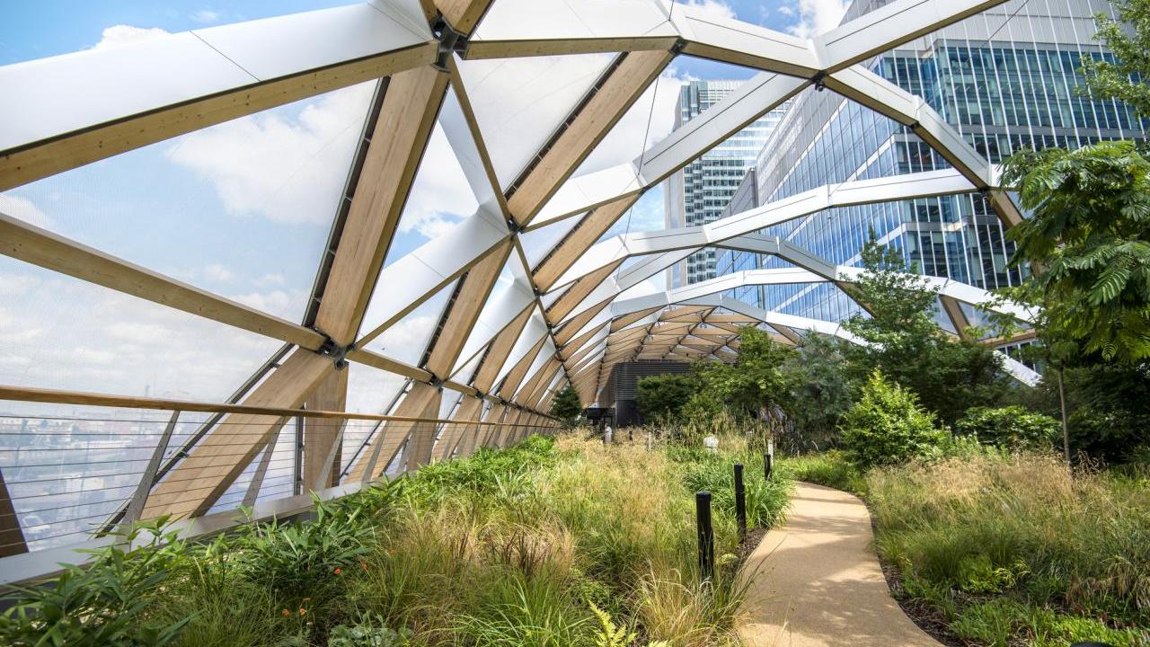 A walkway through lush greenery, a glass curved ceiling overhead.