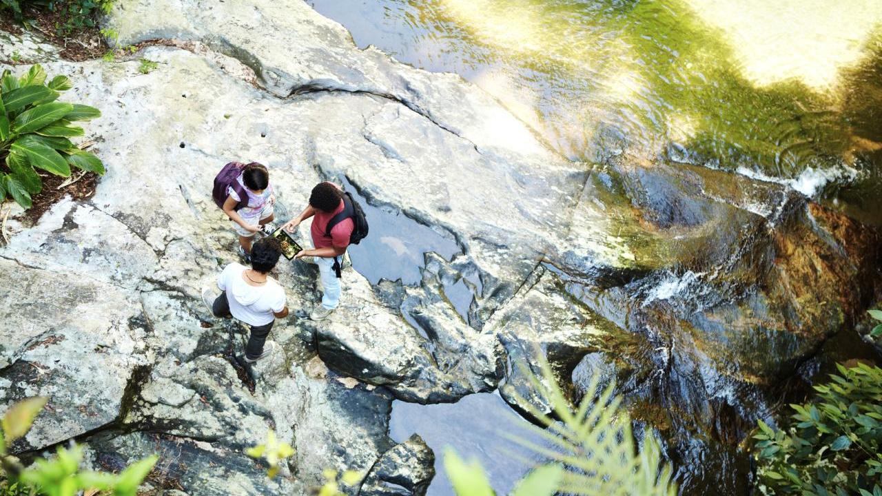 Three people looking at a device, standing on a large, wet, rock surface outdoors.