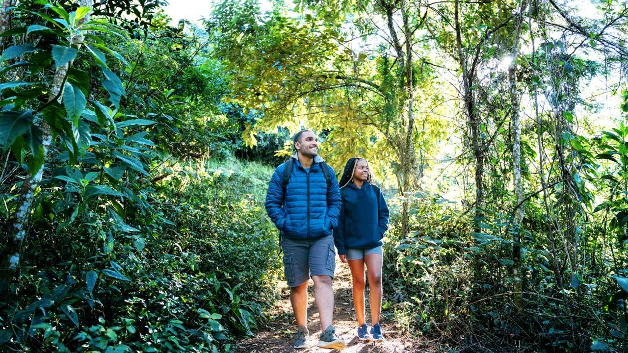 Two people walking in a lush forested area.