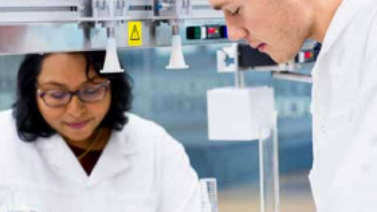 Scientists in a lab