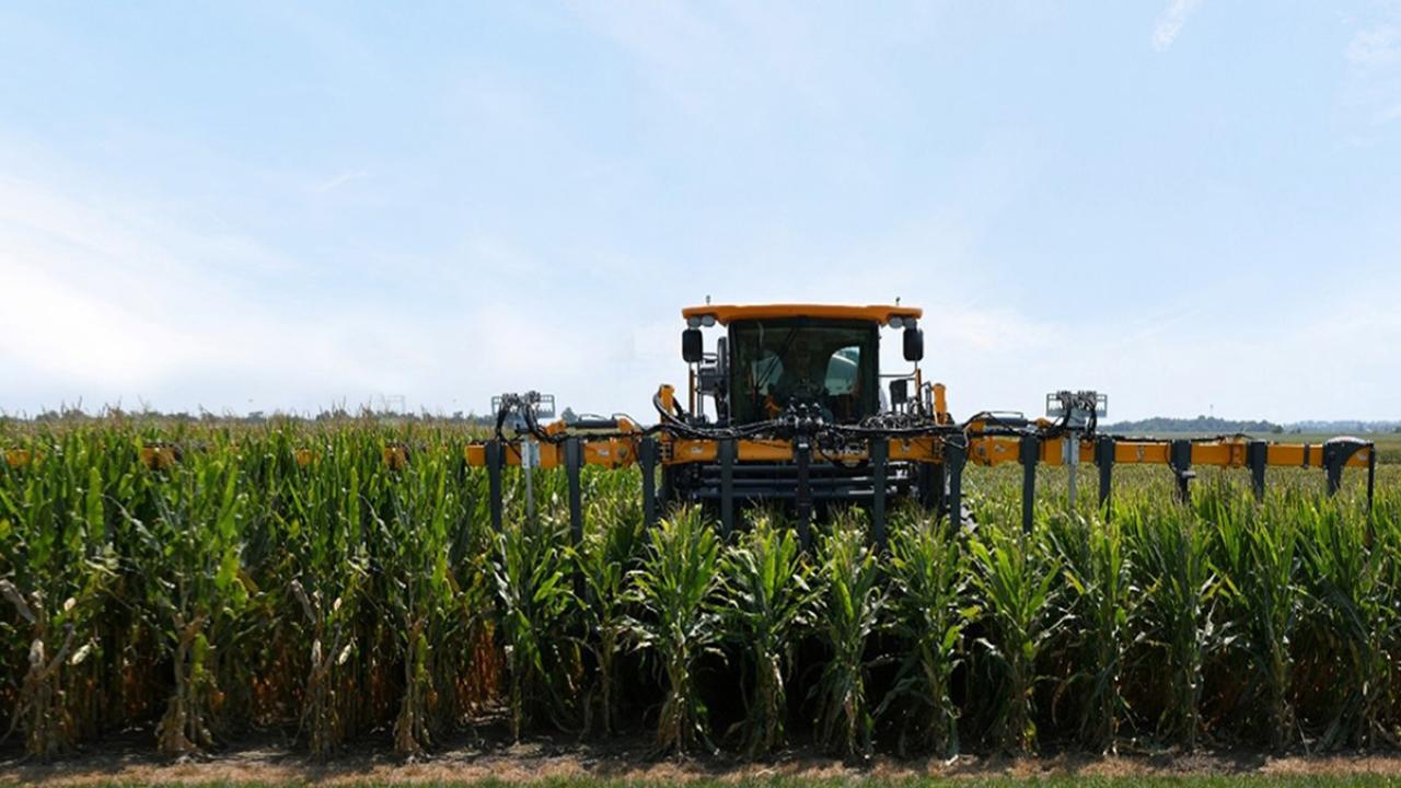 a tractor among short-stature corn