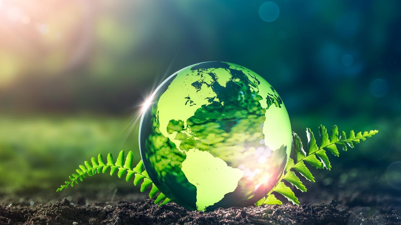 the earth growing from the ground 