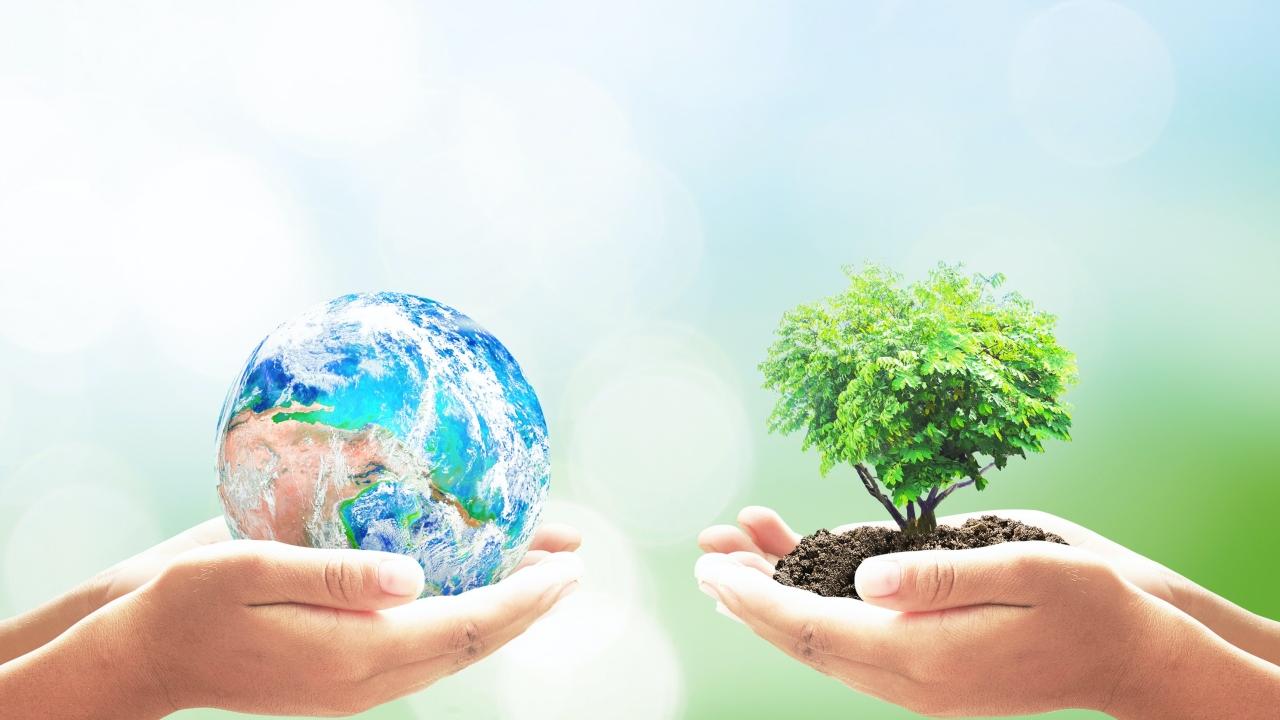 hands holding the earth and a plant