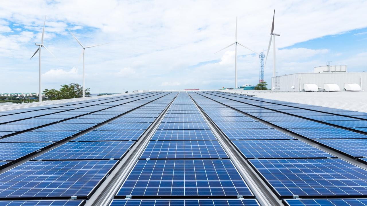 field of solar panels