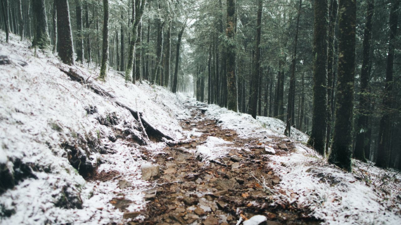Great Smoky Mountains