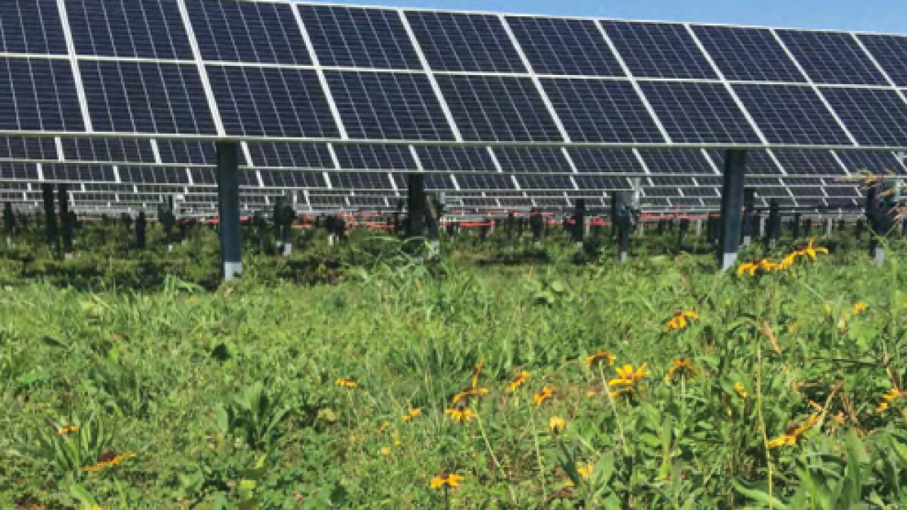 Solar Panels