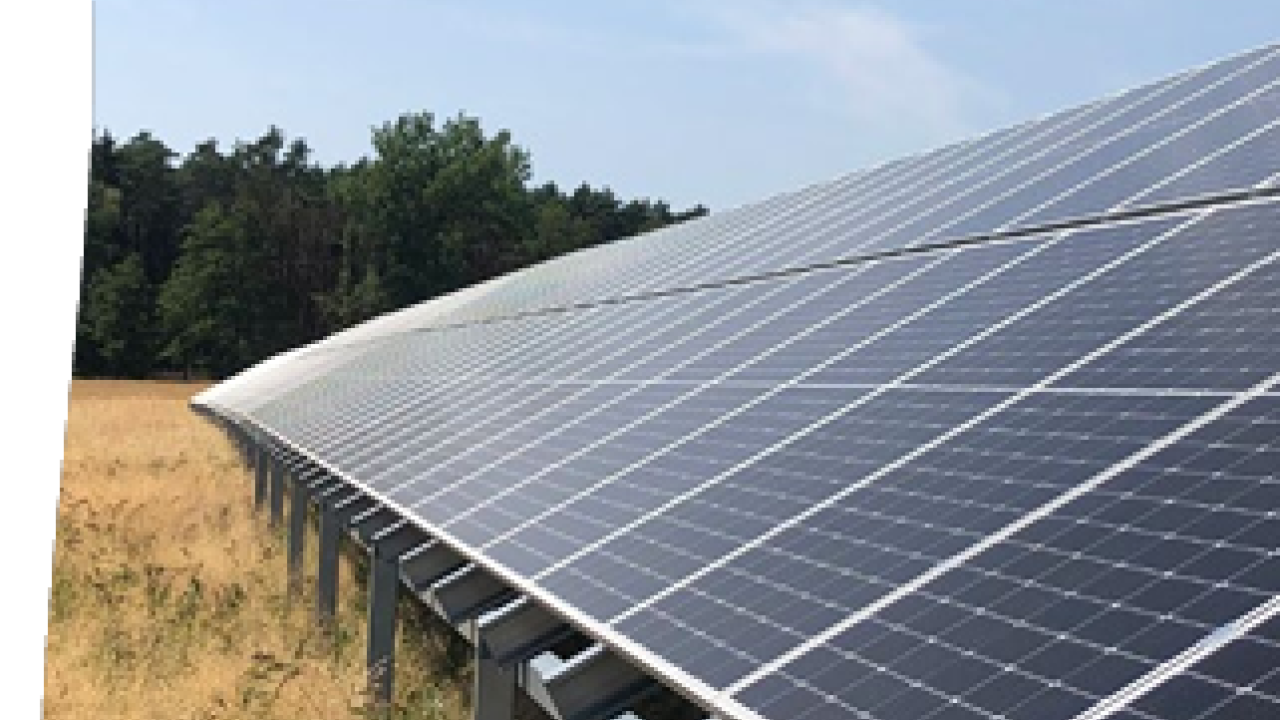 Close up of a row of solar panels in a field