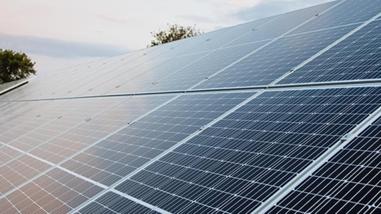 Rows of solar panels