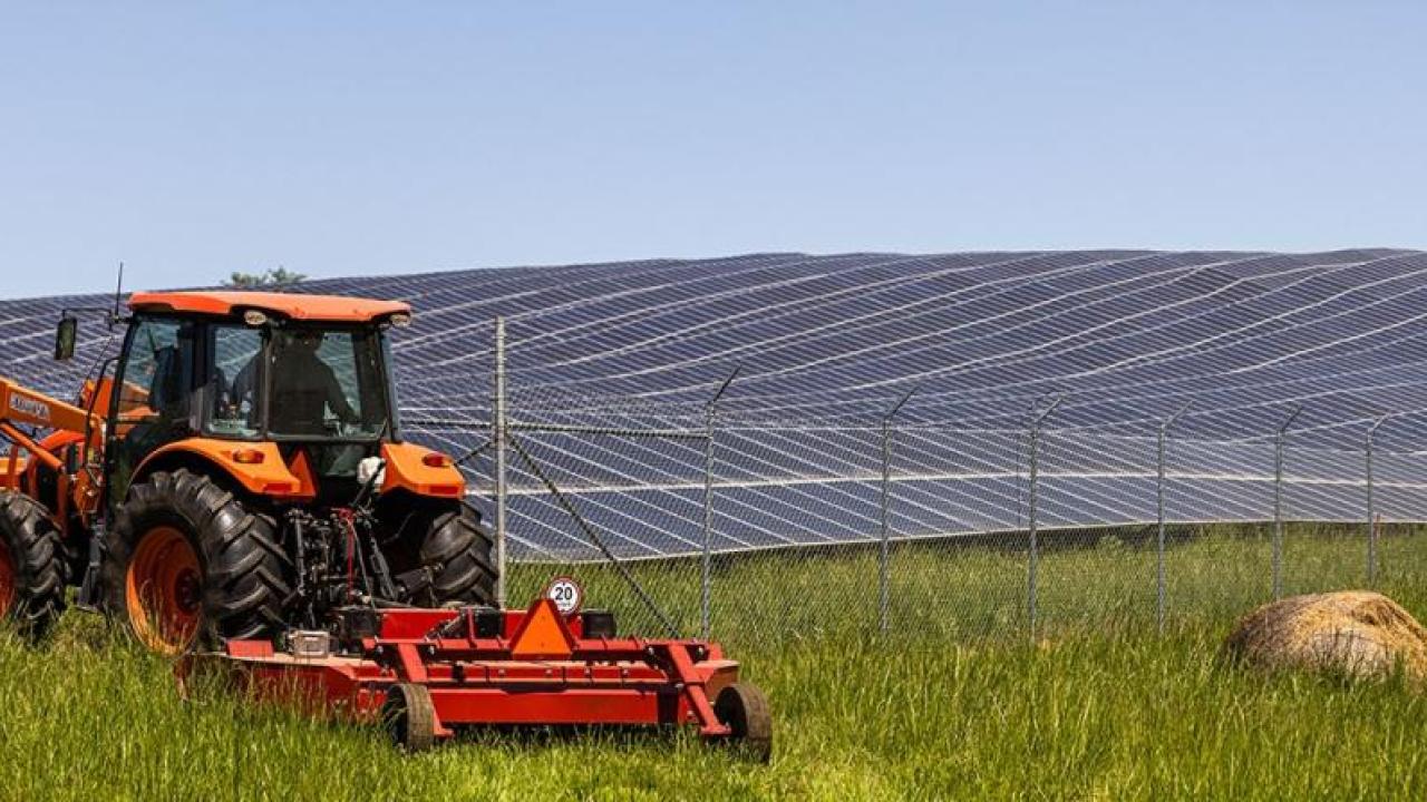 A large red tractor in a field next to large rows of solar panels.