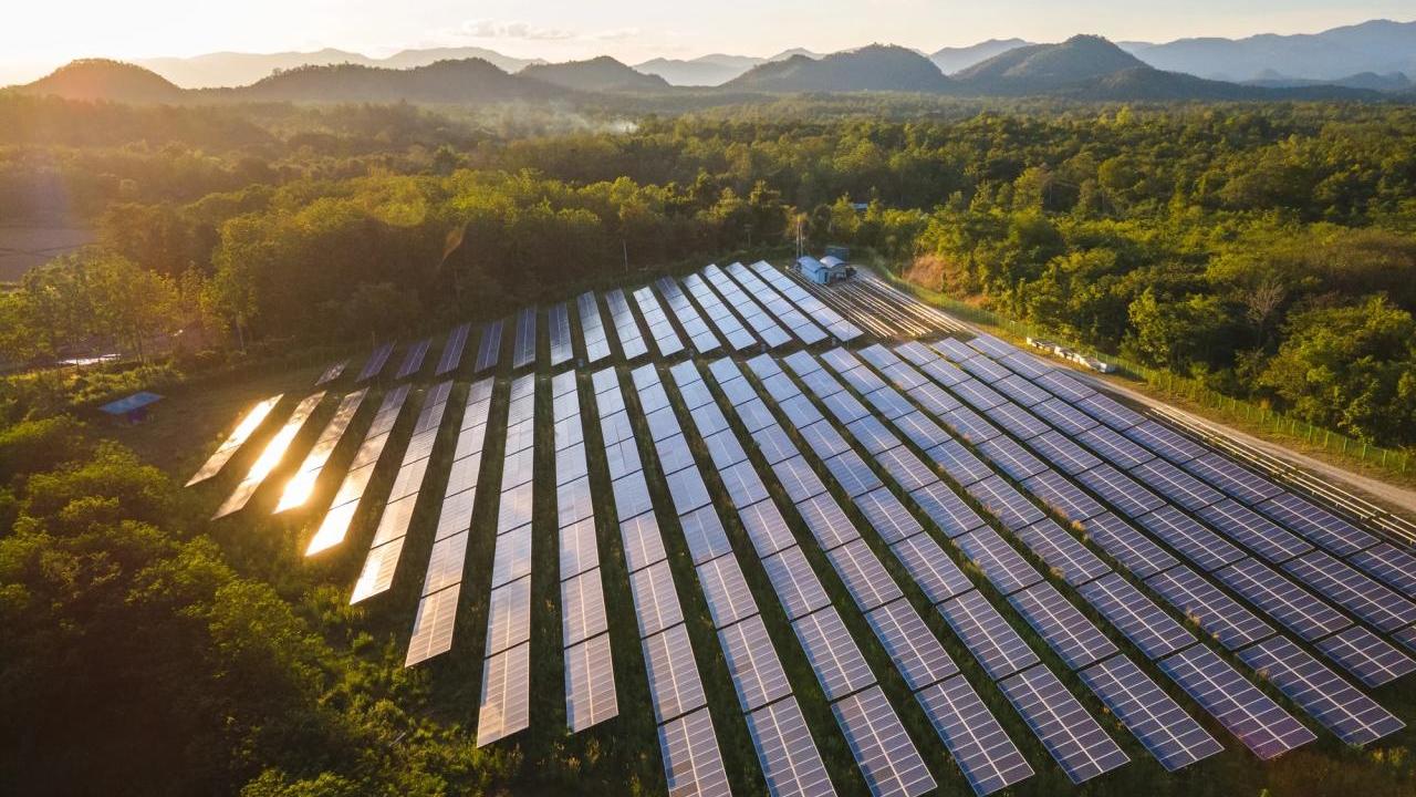 array of solar panels