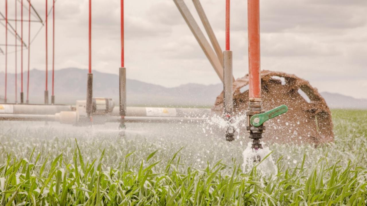 Sprinkler system over grass