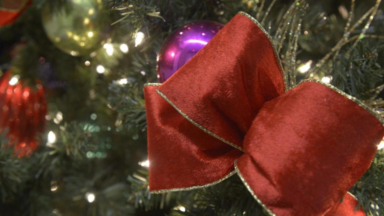 A red ribbon shown on a holiday tree with lights and ornaments