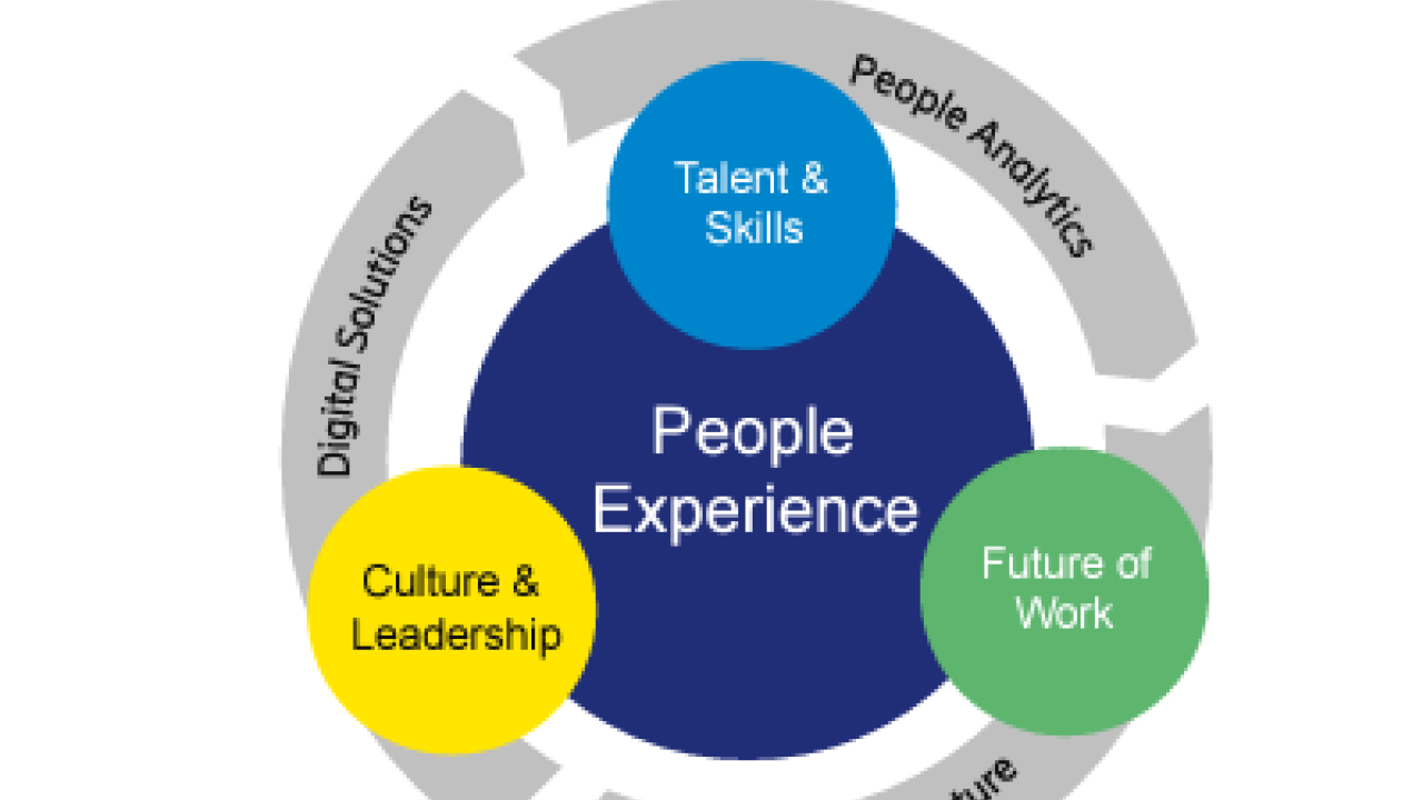 Infographic "Figure1: Strategy Areas" circular image, center is "People Experience" then outer ring "Talent and skills, Future of Work, and Culture & Leadership" outer ring is "people analytics, Job architecture, digital solutions"