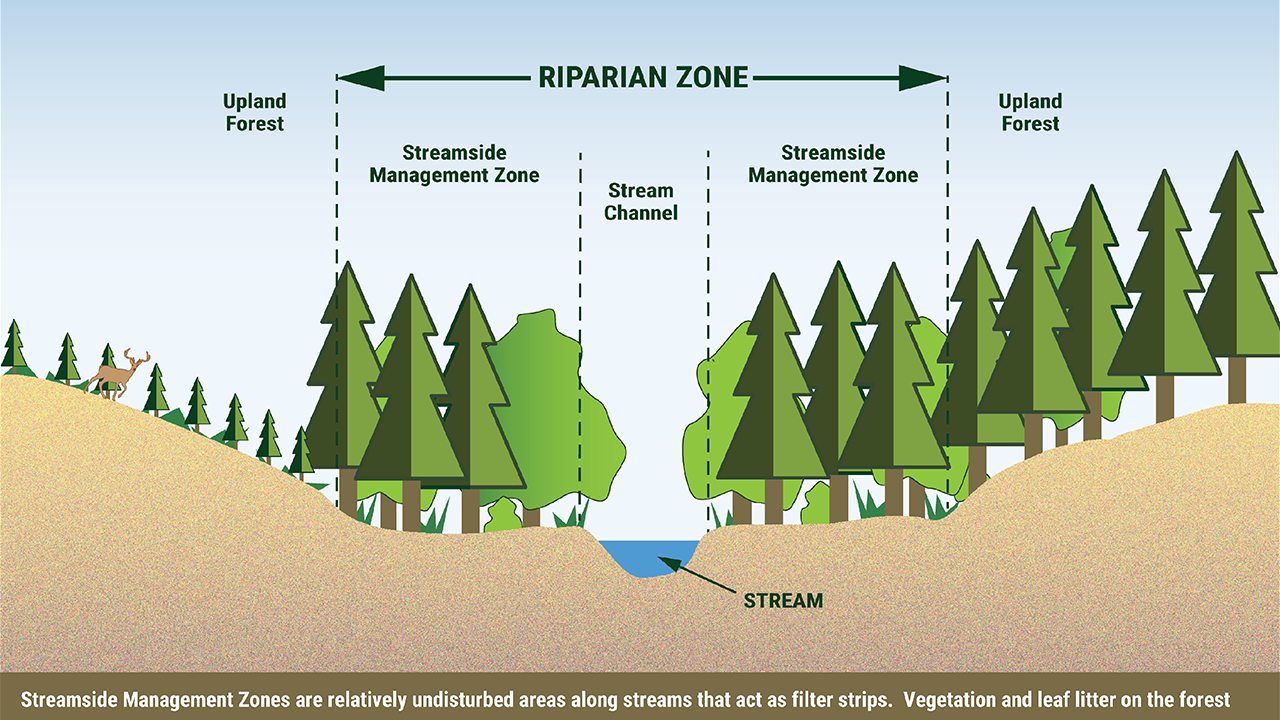 Info graphic "Riverside Management Zone" showing a cross-section of a digital forest and waterway with different zones labeled.