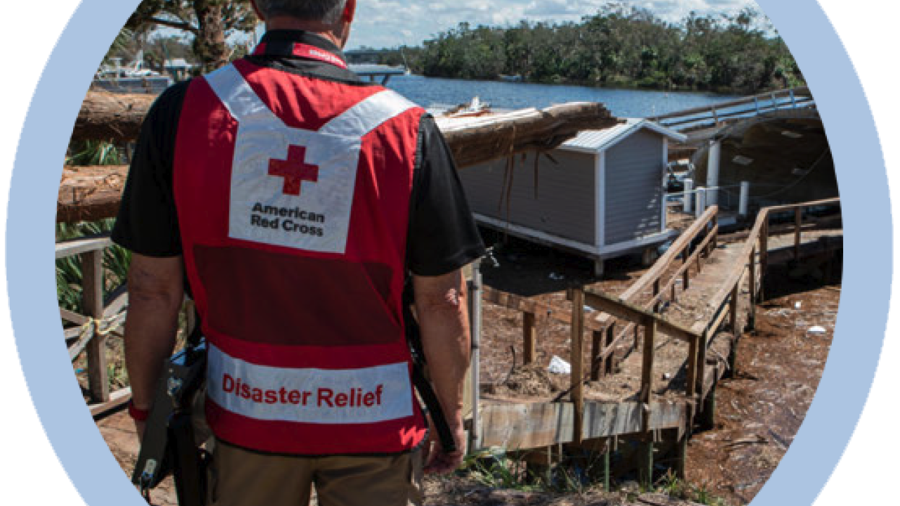 A person in a Red Cross Disaster Relief vest, looking out at damage