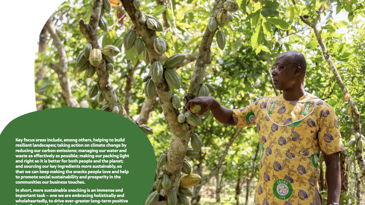 Farmer tending cocoa plants. Text found in article.