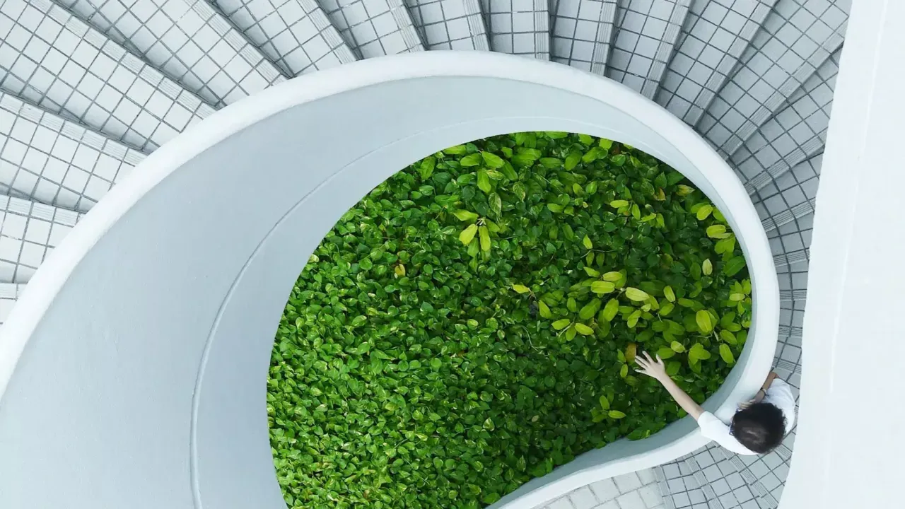 A hand reaching over a central area of greenery in a white spiral staircase.