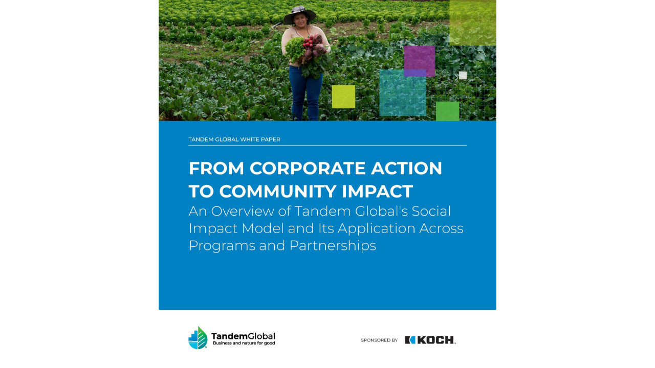New White Paper from Tandem Global, Sponsored by Koch  