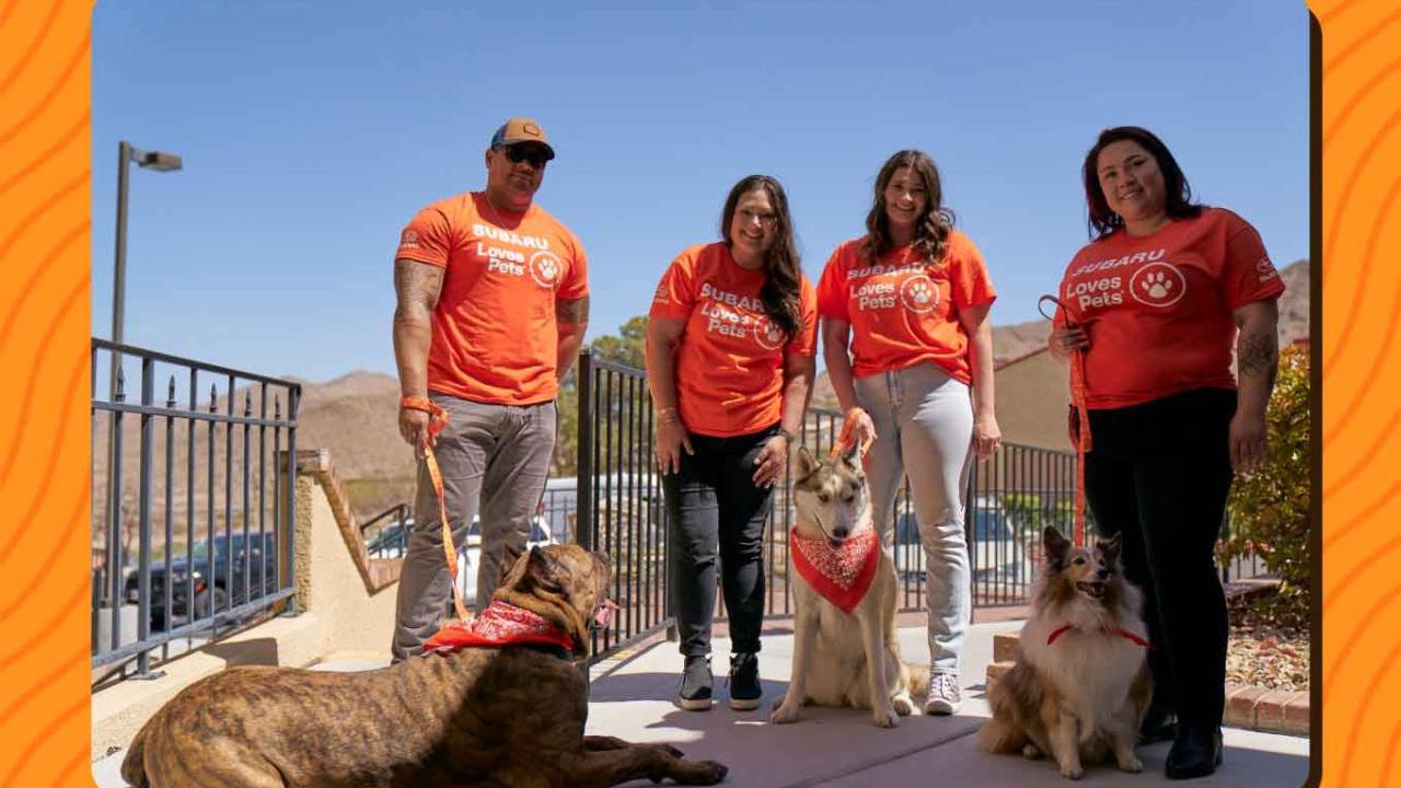 Four people in matching shirts with their dogs on leashes