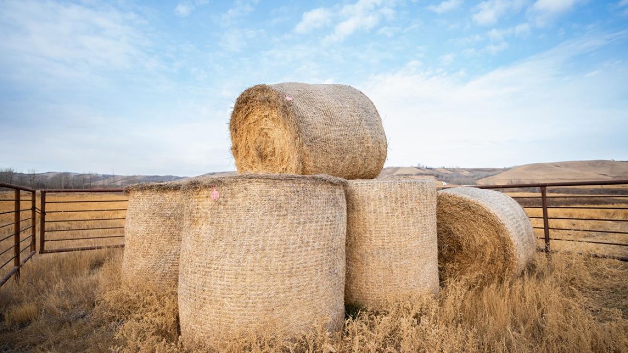 hay bales