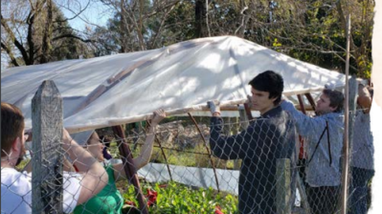 Employees lifting up a tent