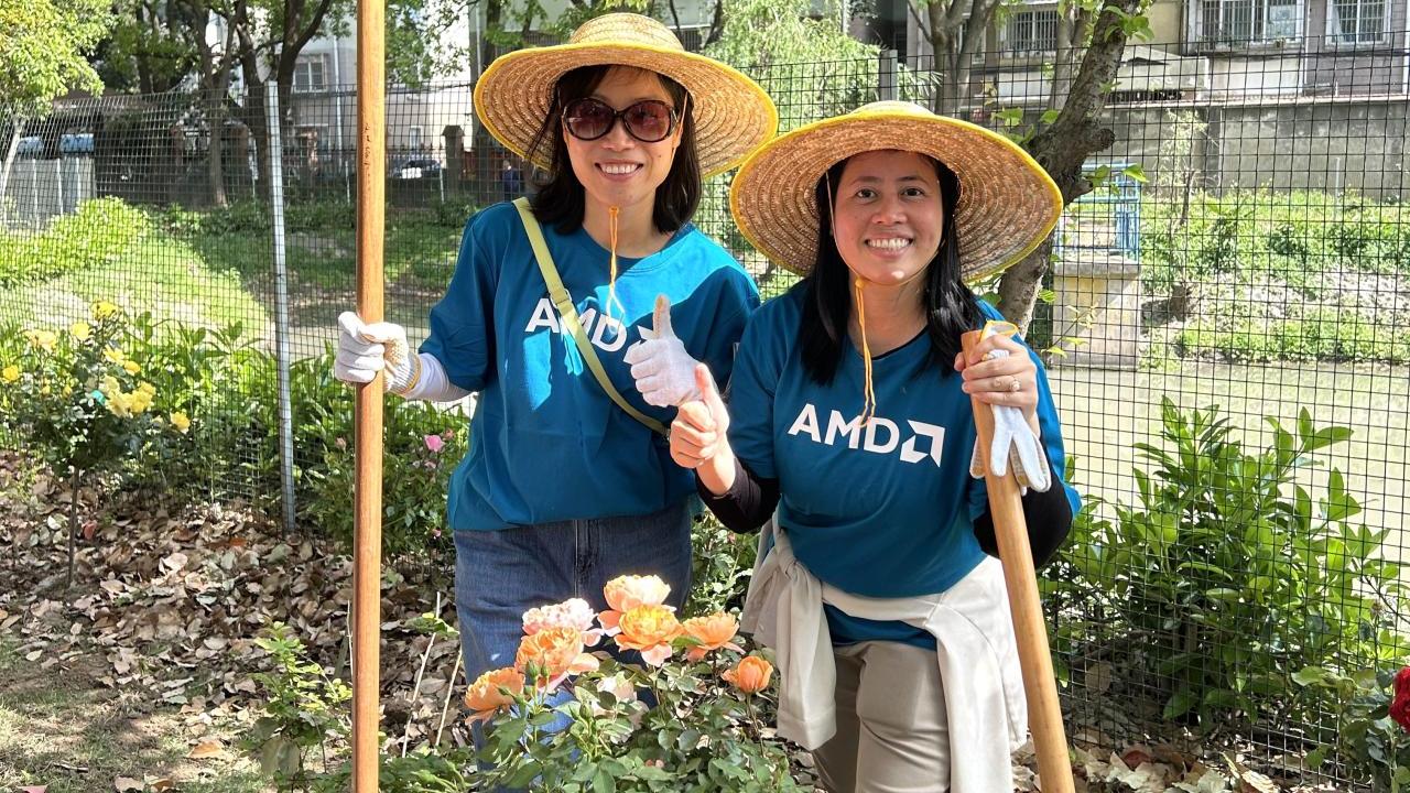 volunteers around a plant