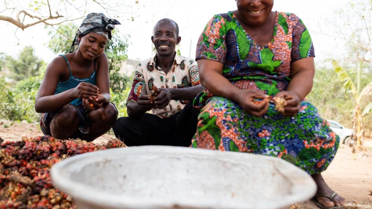 3 people sort crops