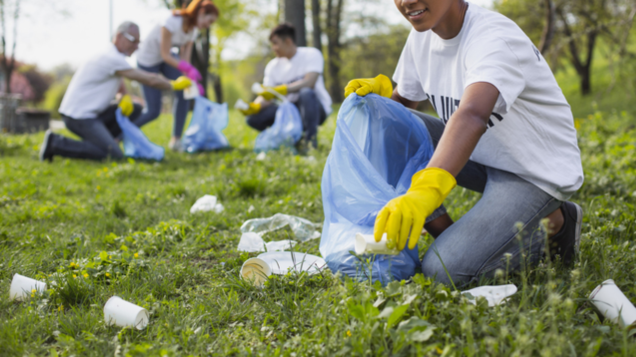 People kneeling down to pick up trash in a park like setting. They are wearing yellow protective gloves.