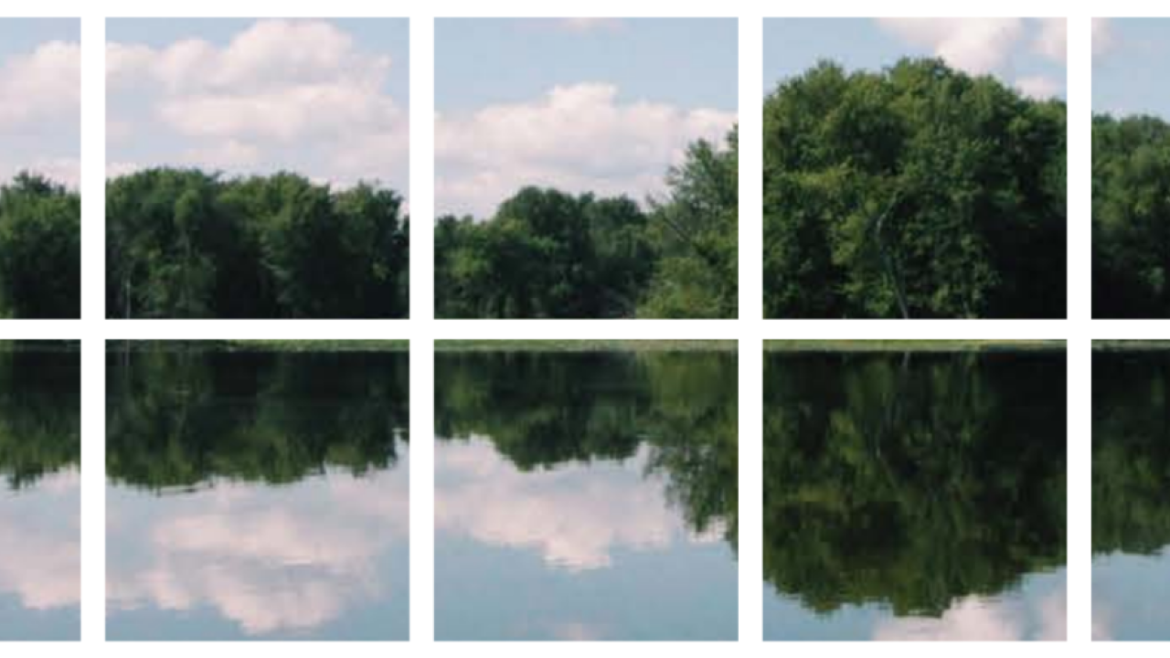 trees and sky reflected and placed in squares