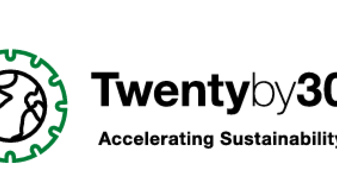 Twentyby30 logo