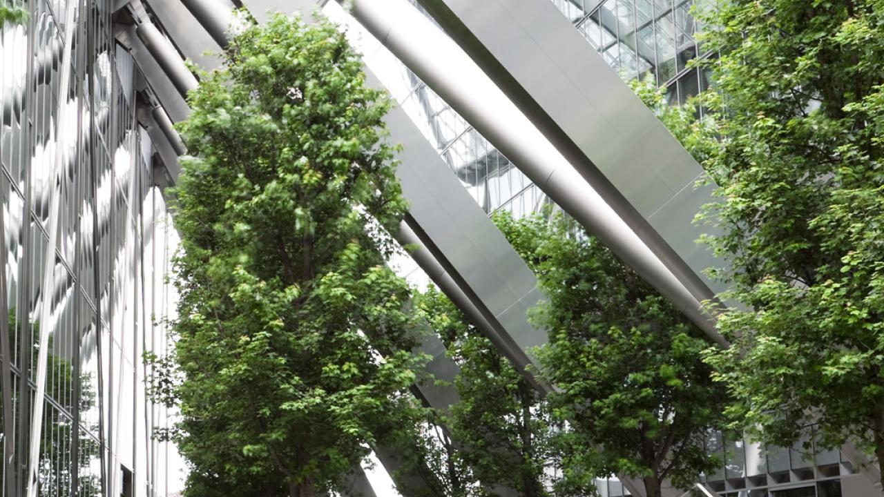 A glass office building with trees