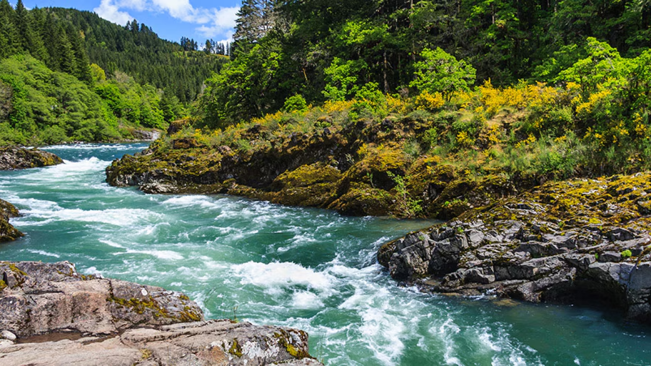 A river running through a landscape