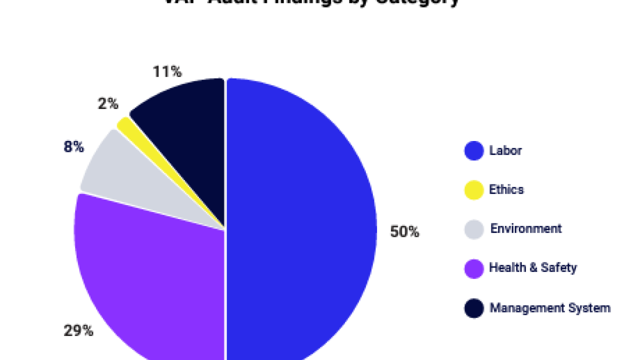 Pie chart "VAP Audit Findings by Category"