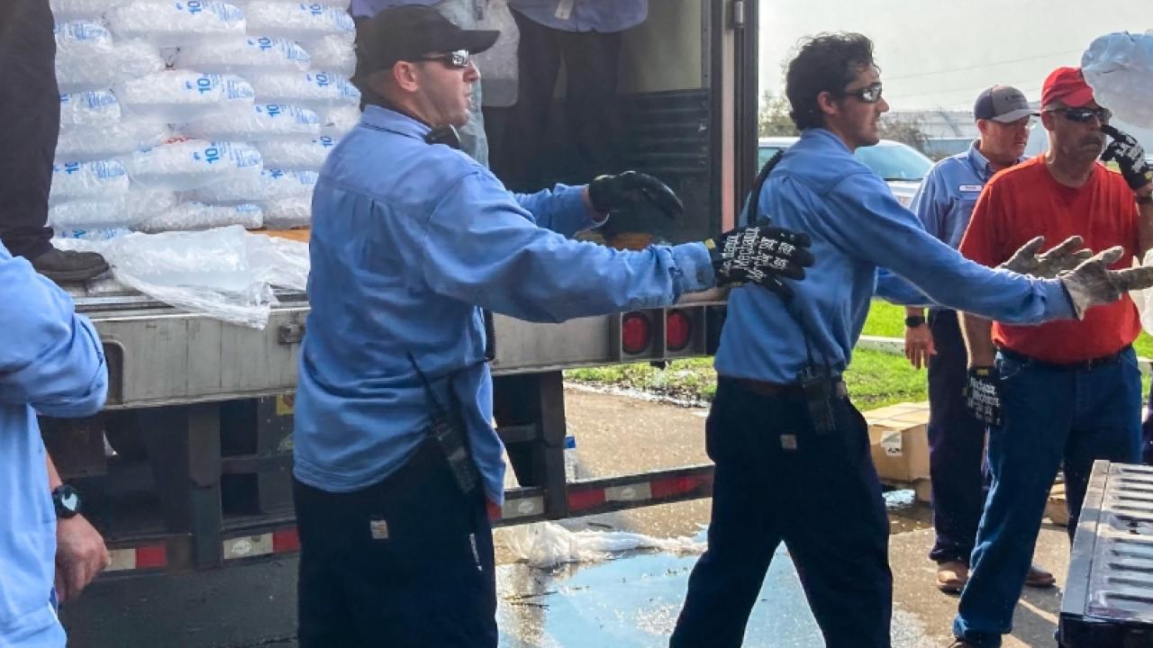 volunteers