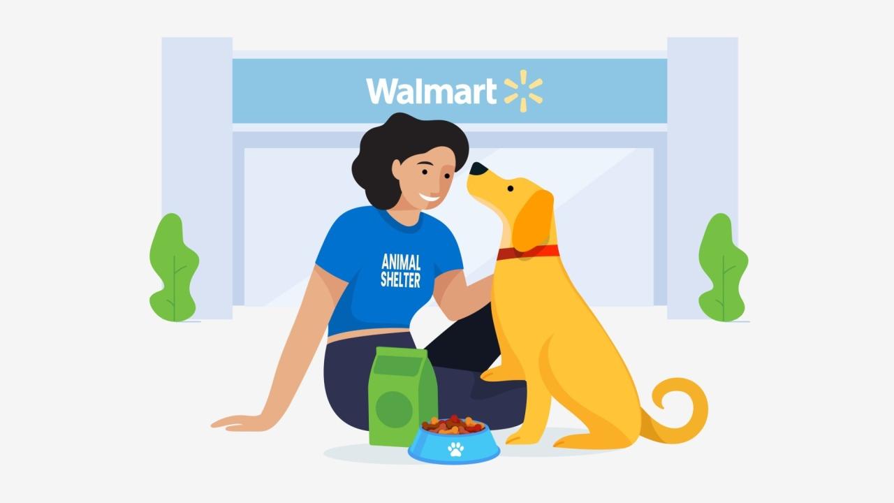 drawing of a woman in a blue shirt which says "animal shelter" petting a yellow dog in front of a walmart store