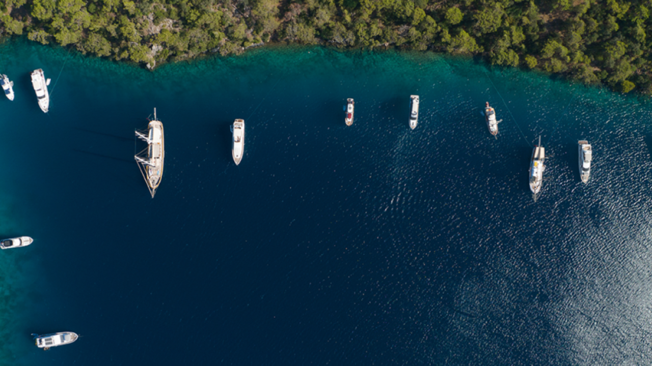 Bird's eye view of a bay with boats