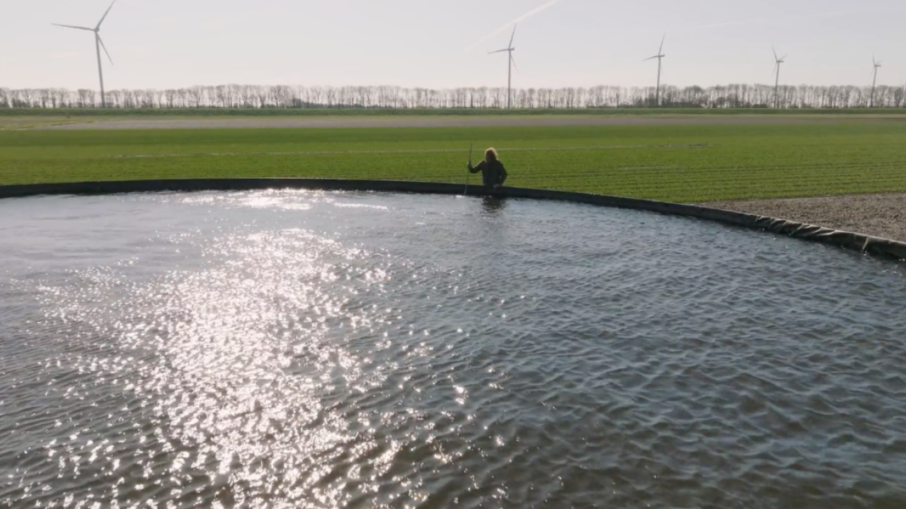 Large pool of water at a farm