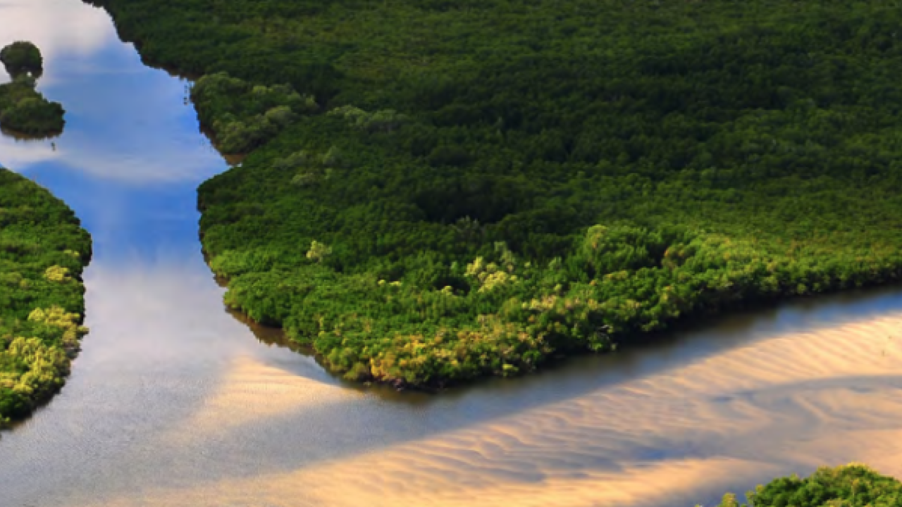 Aerial view of a waterway in a wild area.
