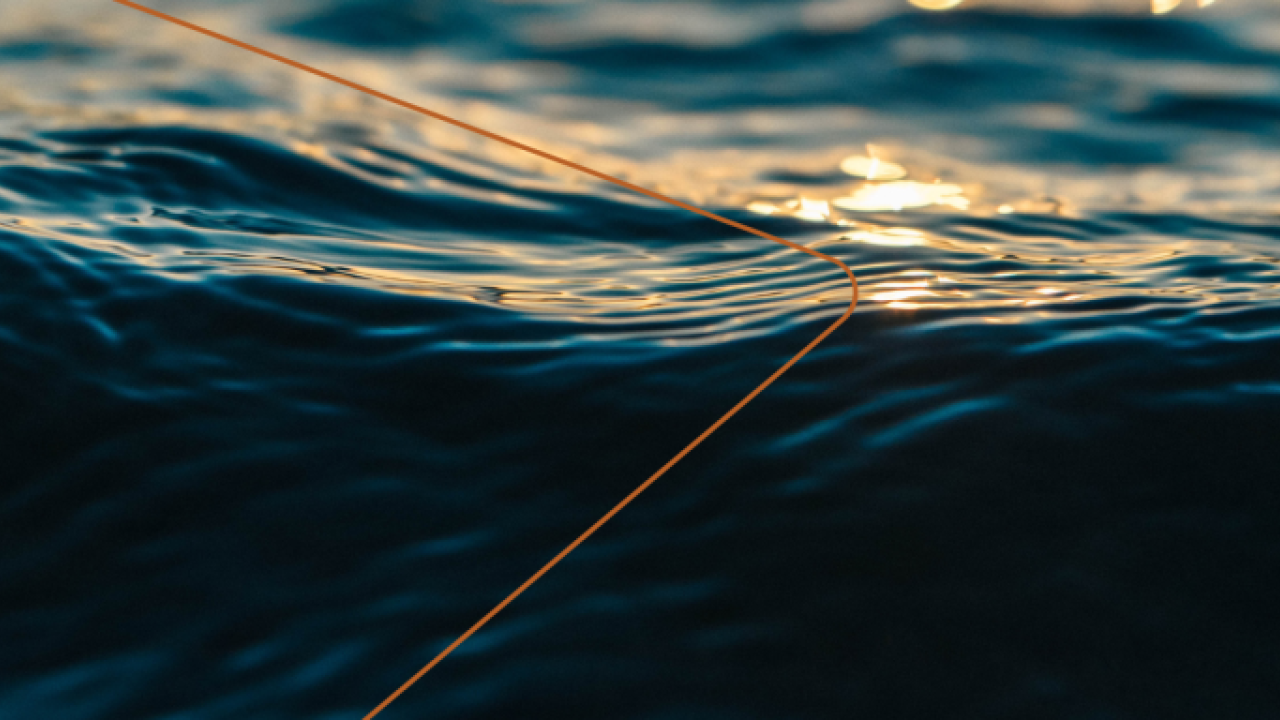 dark waves
